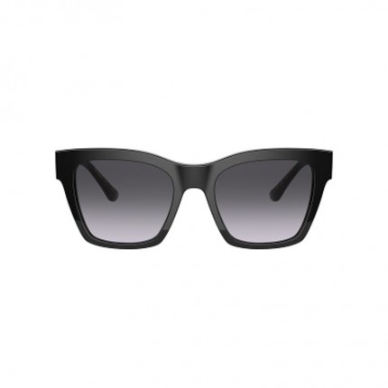 Dolce & Gabbana DG4384