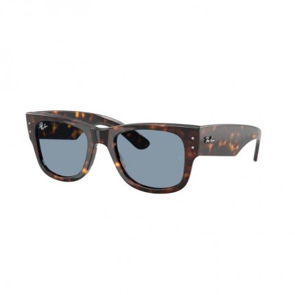 Ray-Ban RB0840S